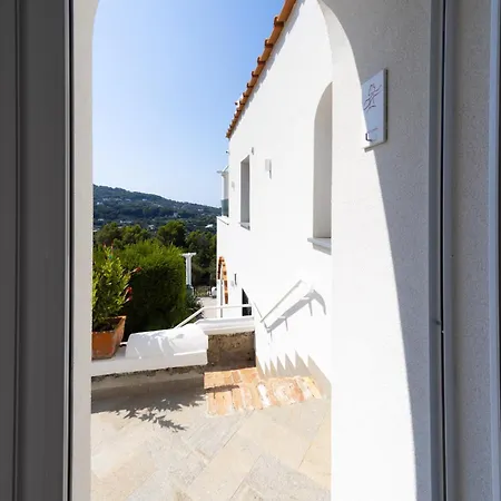 - Olivella * Anacapri (Isola di Capri)
