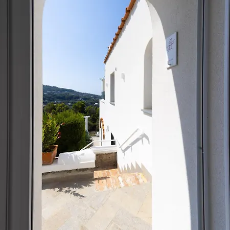 - Olivella Anacapri (Isola di Capri)